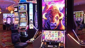 2288bet6